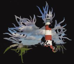View through a nudibranch... by Istvan Juhasz 